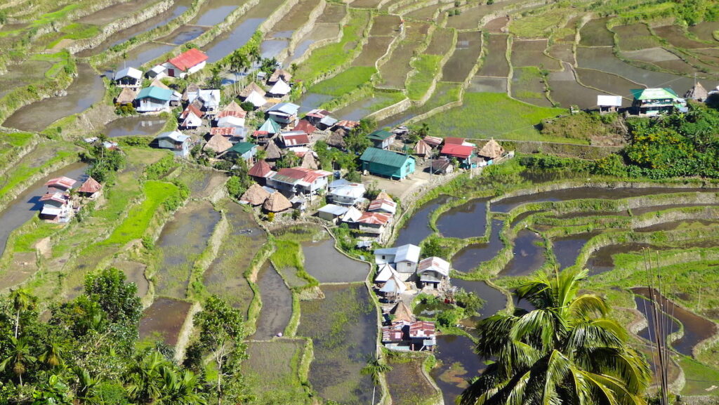 Reisterrassen von Banaue auf den Philippinen
